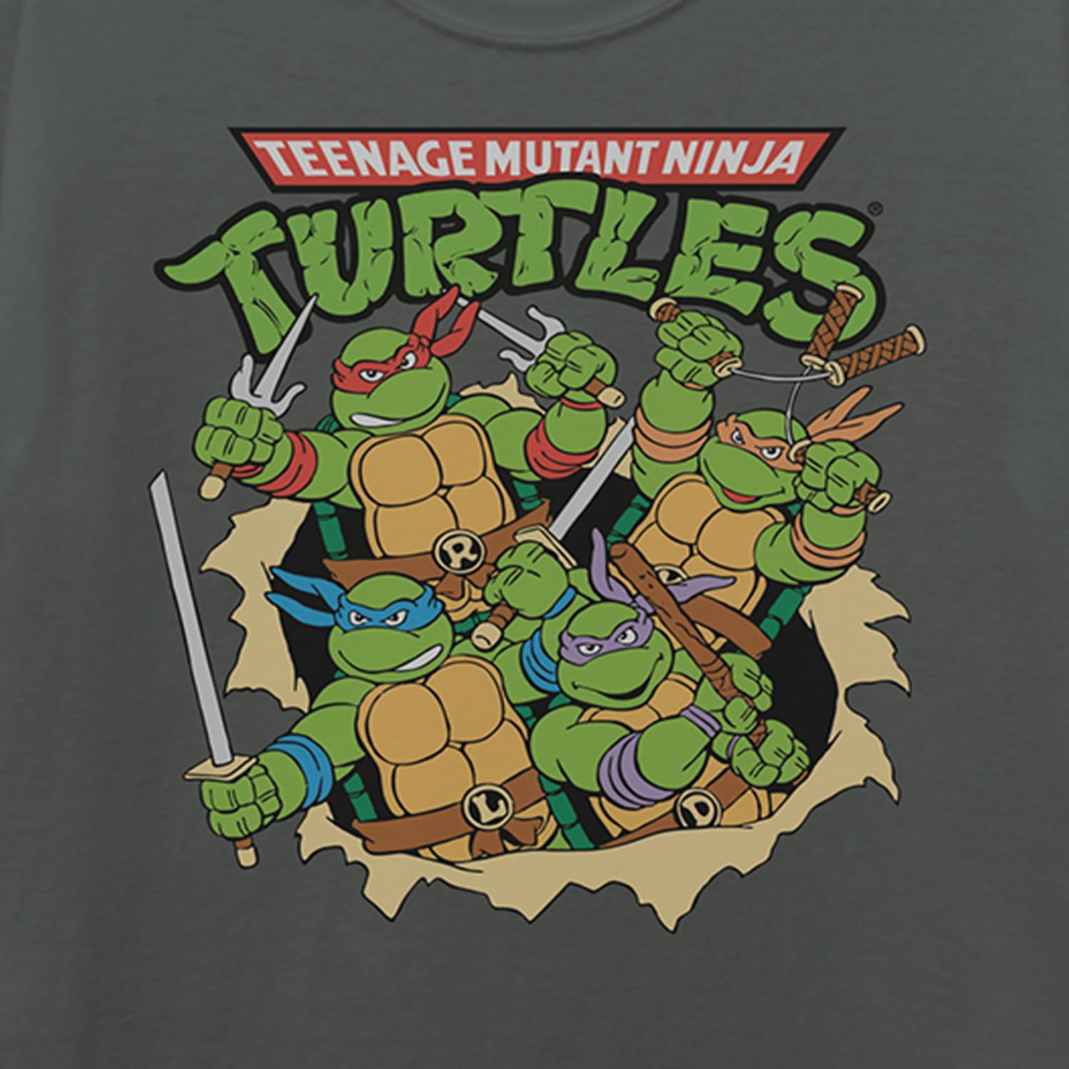 Teenage Mutant Ninja Turtles Mens' Heroes In A Half Shell T-Shirt