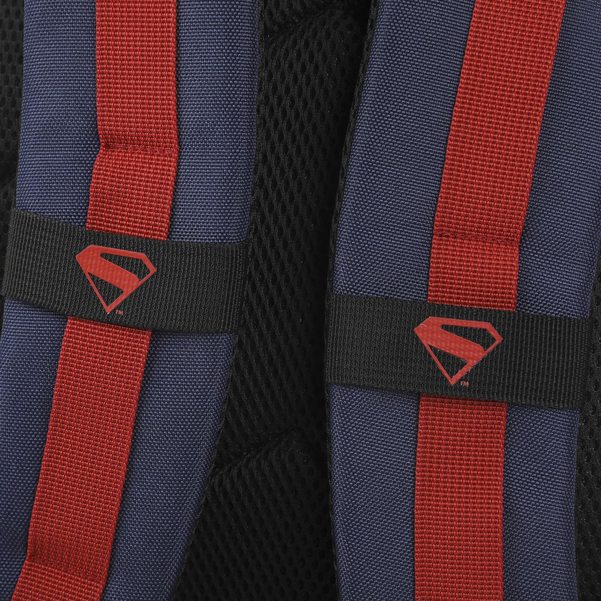 Superman Web Logo 17.5" Blue Backpack