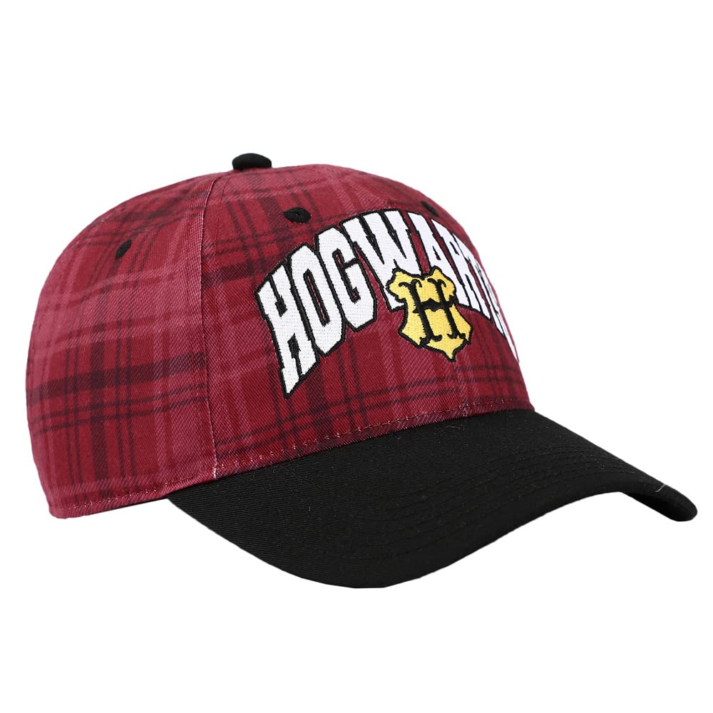Harry Potter Hogwarts Embroidered Plaid Color Block Cotton Twill hat Multicolored