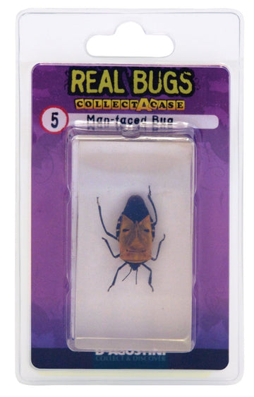 DeAgostini Real Bugs Man Faced Bug