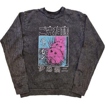 Ripple Junction Junji Ito Pink Caterpillar Adult Unisex Crew Neck Mineral Wash Sweatshirt Large Vintage Black