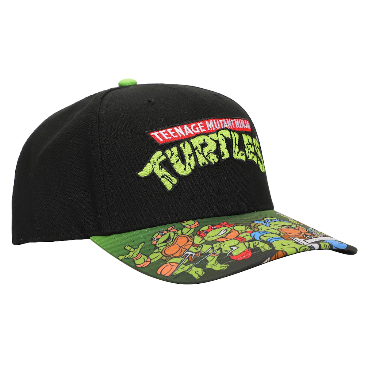 TMNT Classic Retro Cartoon Characters & Logo Men's Black Precurve Snapback Hat - Inmyparentsbasement.com