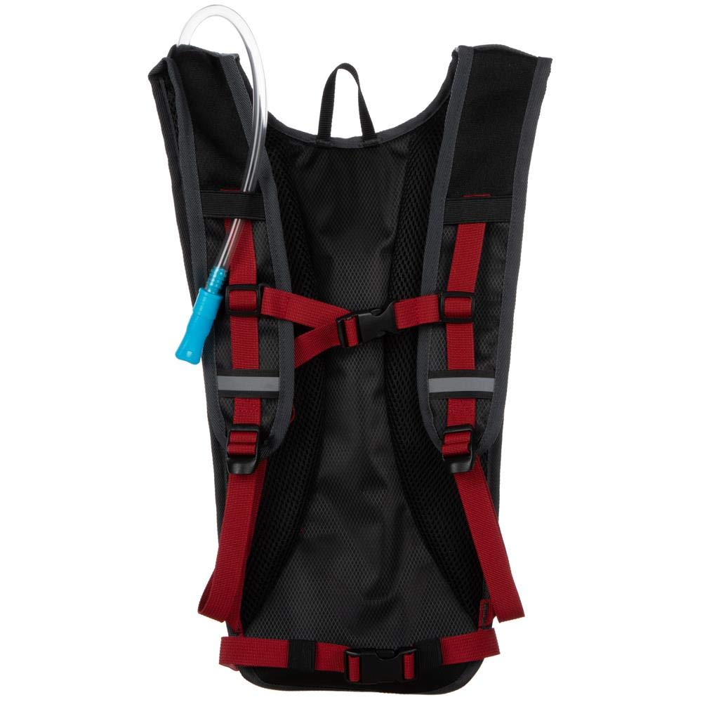 America Red White & Blue Flag Hydration Bag Accessory