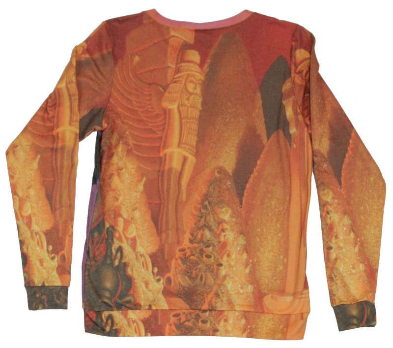 Aladdin Girls Juniors Pull Over Light Sweatshirt - Giant Street Rat All Over Pic