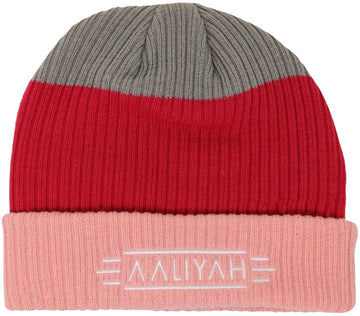 Ripple Junction Aaliyah Logo Embroidered Adult Mens Womens Pink Stripe 90s Style Fitted Beanie