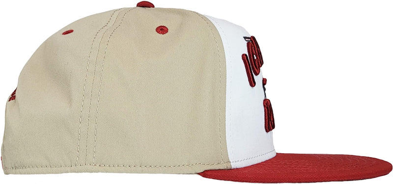 Naruto Shippuden Ichiraku Ramen Icon Hidden Leaf Village Adjustable Red and White Flat Bill Snapback Hat (One Size, Red)