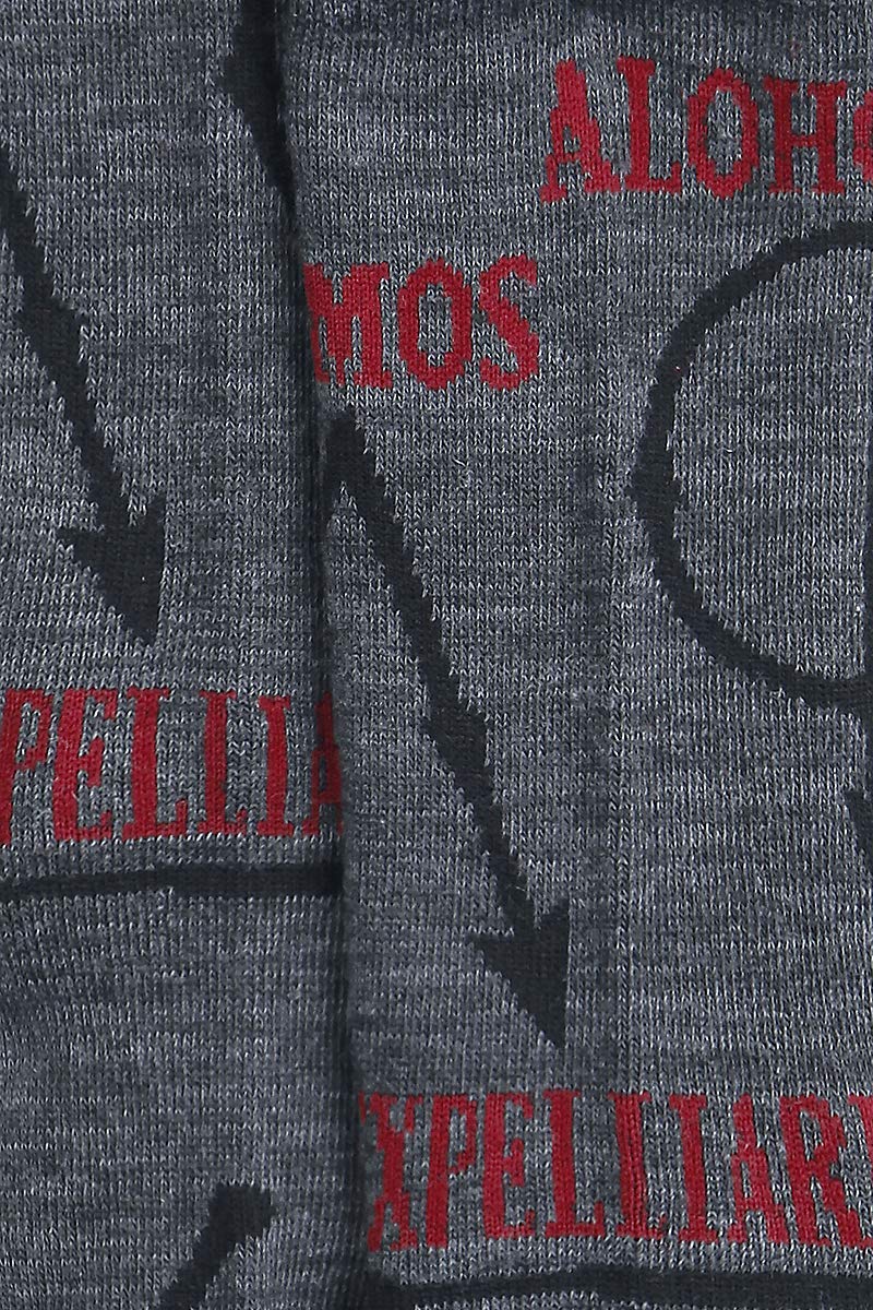 Harry Potter Juniors Hogwarts and House Crew Socks 2 Pack