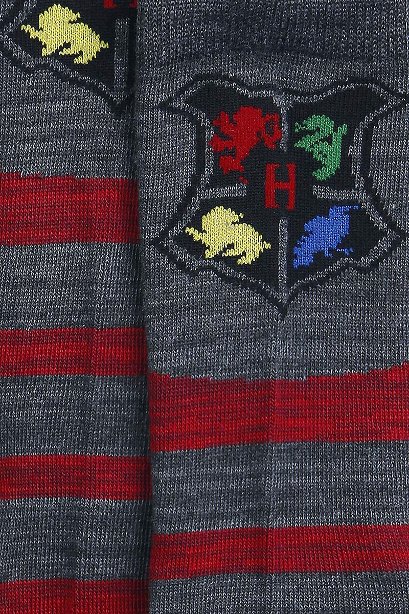 Harry Potter Juniors Hogwarts and House Crew Socks 2 Pack