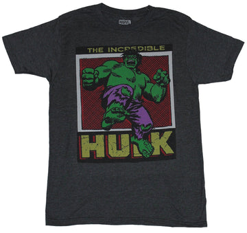 Hulk (Marvel Comics) Mens T-Shirt - The Incredible Hulk Jump Box Image