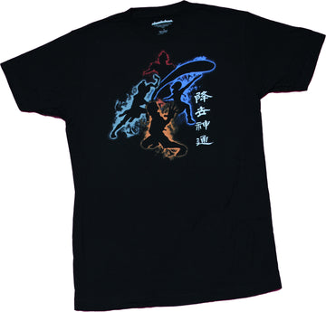 Avatar the Last Airbender - Color of Nations Silhouettes & Kanji