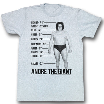 Andre The Giant Mens S/S T-Shirt - Giant Specs - Heather Gray Heather