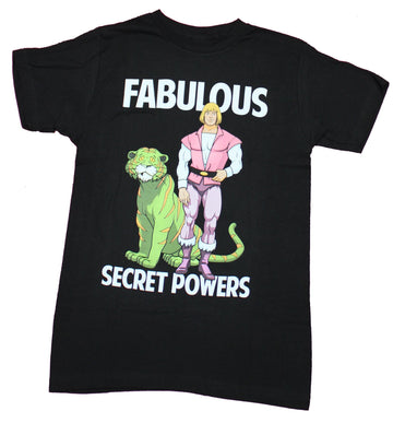 Masters of the Universe Mens T-Shirt - Fabulous Secret Powers Prince Adam Image