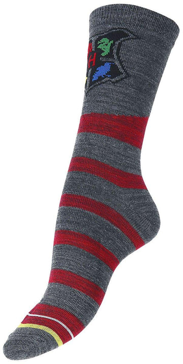 Harry Potter Juniors Hogwarts and House Crew Socks 2 Pack