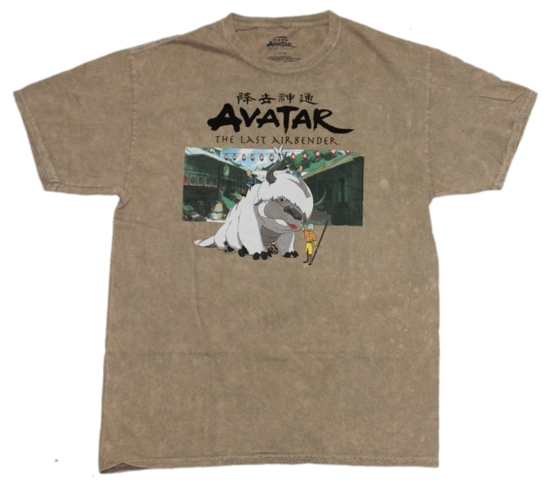 Avatar The LAst Airbender - Avatar Posed with Appa