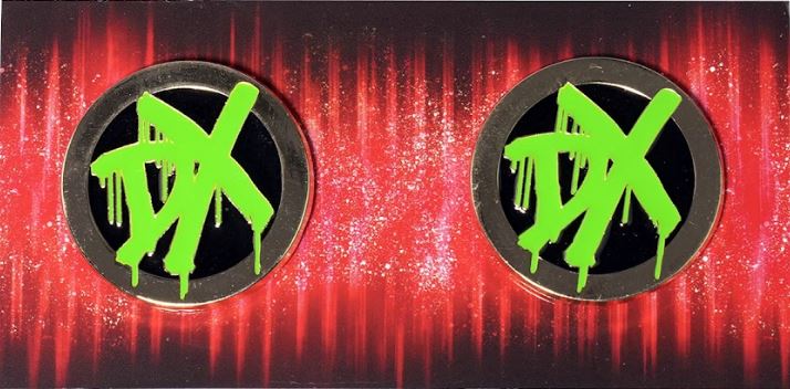 Loot Crate Exclusive D Generation X  Side Plate Pins WWE SLAM CRATE Wrestling Crate